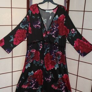 Chelsea Studio 2x Black Red Floral Maxi Dress Dress